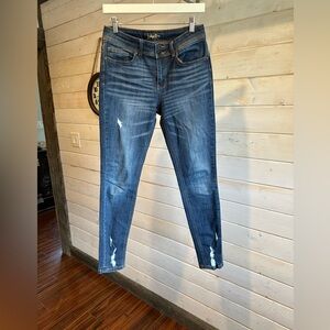 Indigo Rein | Semi Distressed Skinny Jeans